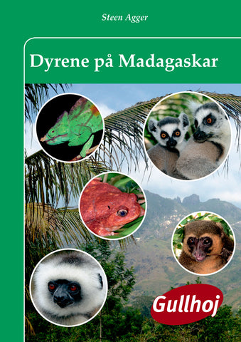 Dyrene på Madagaskar