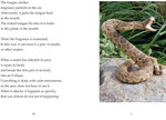 3.3 Elementary - Snakes